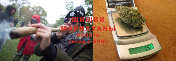 гидра Новозыбков