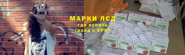 spice Богородицк