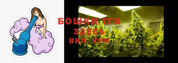 трава Новодвинск
