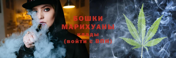 трава Новодвинск