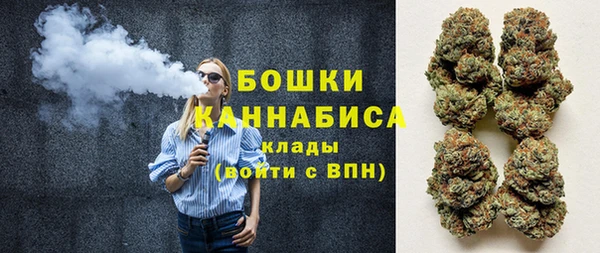 дмт Новокубанск