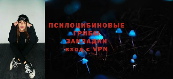 дмт Новокубанск