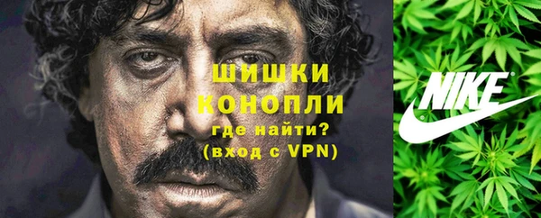 дмт Новокубанск