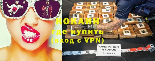 дмт Новокубанск
