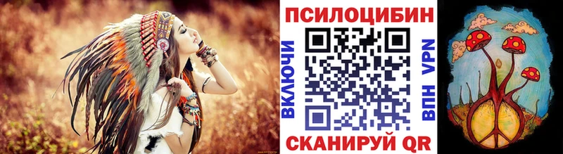 гидра зеркало  даркнет официальный сайт  Галлюциногенные грибы Psilocybine cubensis  Армавир 