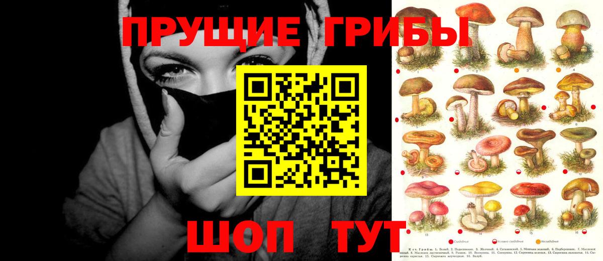 Армавир  Псилоцибиновые грибы Psilocybine cubensis  Псилоцибиновые грибы прущие грибы  Вход с VPN 